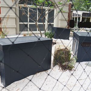 New African penguin nesting boxes, 2023-07-02