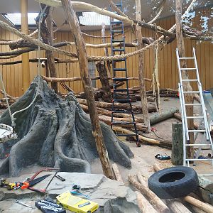 Renovations in Chimpanzee 'sunroom' indoor exhibit, 2023-07-02