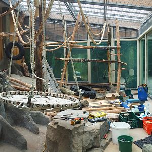 Renovations in Chimpanzee 'sunroom' indoor exhibit, 2023-07-02
