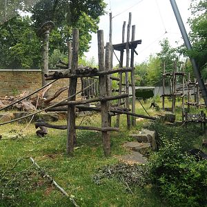 Chimpanzee exhibit, 2023-07-02