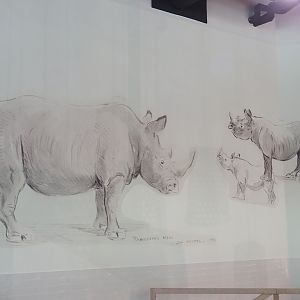 Rhinoceros mural in Savanna restaurant, 2023-07-02