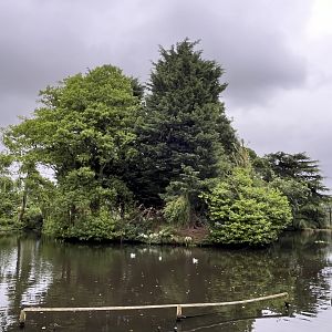 Lemur island 29.6.24