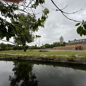 Rothschild’s giraffe enclosure 29.6.24