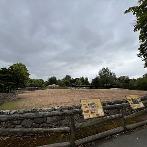 Bactrian camel and Persian onager enclosure 29.6.24