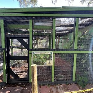 June 2024 - Chase Sanctuary - Toco Toucan Enclosure