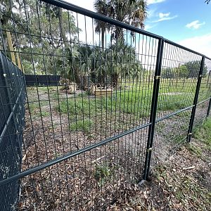 June 2024 - Chase Sanctuary - Bat-Eared Fox Enclosure