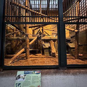 Dec. 2024 - Fauverie - Indoor Enclosure for Yellow-Throated Martens