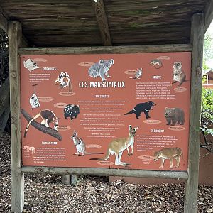 Dec. 2024 - Interesting Signage about Marsupials