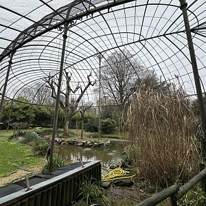 Dec. 2024 - Grand Voliere (Aviary)