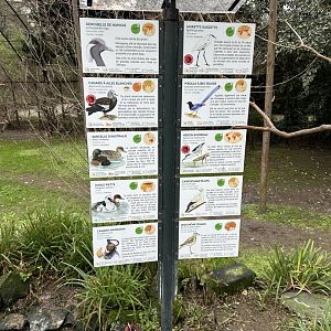 Dec. 2024 - Grand Voliere (Aviary) - Species List