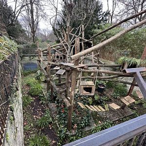 Dec. 2024 - Binturong Pit