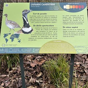 Dec. 2024 - Typical Zoo Signage (Little Bustard)