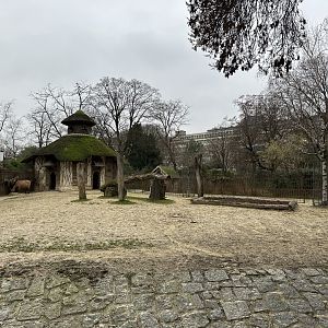 Dec. 2024 - Przewalski’s Wild Horse Paddock