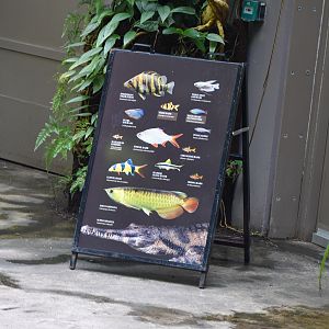 Tropical Dome Species Line-up