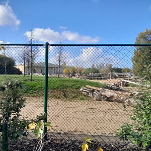 Heart Of Africa giraffe house 07/10/2024