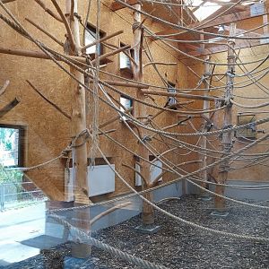 Pileated Gibbon House