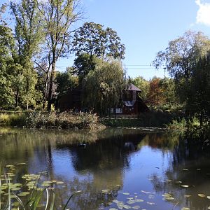 Pileated Gibbon House