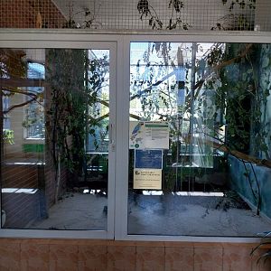 Parrot House - Blue-and-yellow Macaw (Ara araruna)