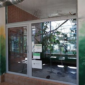 Parrot House - Blue-and-yellow Macaw (Ara araruna) and Crested Partridge (Rollulus rouloul)