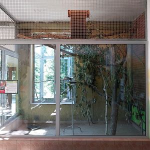 Parrot House - Galah (Eolophus roseicapilla = Cacatua roseicapilla)