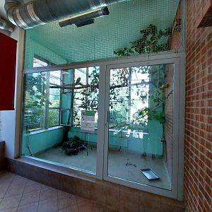 Parrot House - Military macaw (Ara militaris