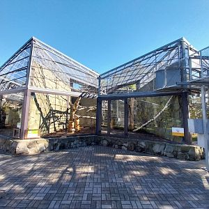 Monkey House - Patas monkey enclosure