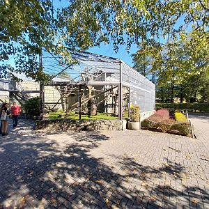Monkey House - Hanuman Langur enclosure