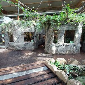 South America House - Reptile section