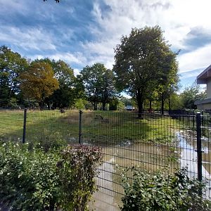 South America House - Giant Anteater enclosure