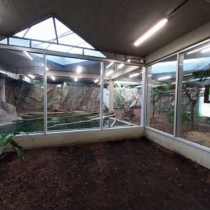 South America House - Giant River Otter exhibit (empty)