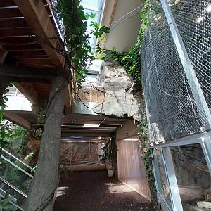 South America House - Giant River Otter exhibit (empty)