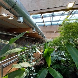 South America House - Upper Floor - General view