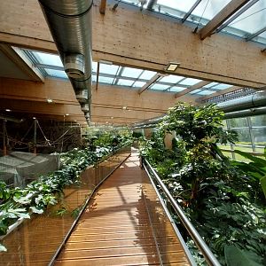 South America House - Upper Floor - General view