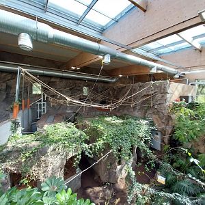 South America House - Upper Floor - Reptile section