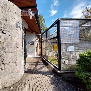 Common Squirrel Monkey enclosure