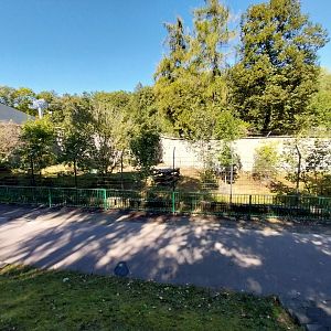 Former lion enclosure