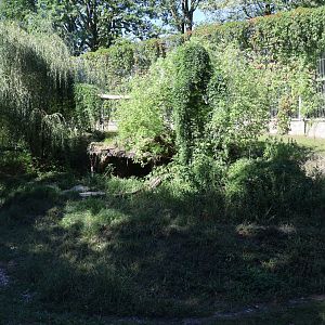 Siberian Tiger enclosure