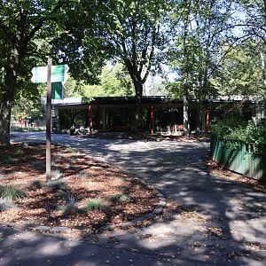 Lion House - Southwest African Lion (Panthera leo bleyenberghi)