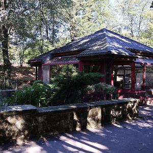 Vari House - Black and White Ruffed Lemur (Varecia variegata variegata)