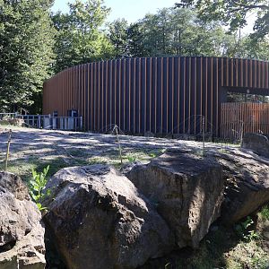 Rhino House - Southern White Rhino (Ceratotherium simum simum)