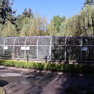 Callitrichidae aviaries