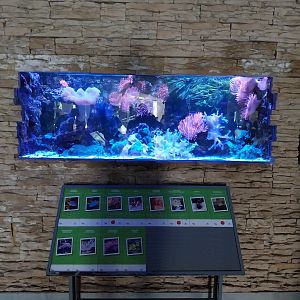 Aquarium