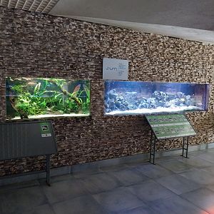 Aquarium