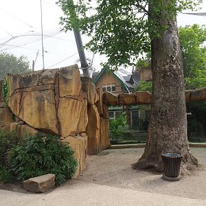 Rock work around exit of Savanna aviary and viewing windows into Savanna aviary, 2023-07-02