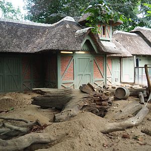 Meerkat and Hermann's tortoise exhibit, 2023-07-02