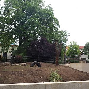 Expanded Asian elephant paddock, 2023-07-02