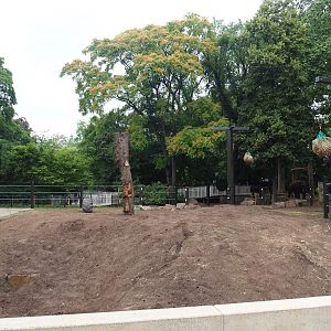 Expanded Asian elephant paddock, 2023-07-02