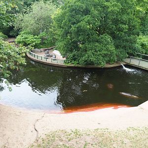 Hippopotamus exhibit - Now an exhibit of the past, 2023-07-02
