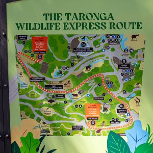 Taronga Wildlife Express