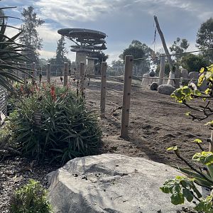 Part of African elephant exhibit